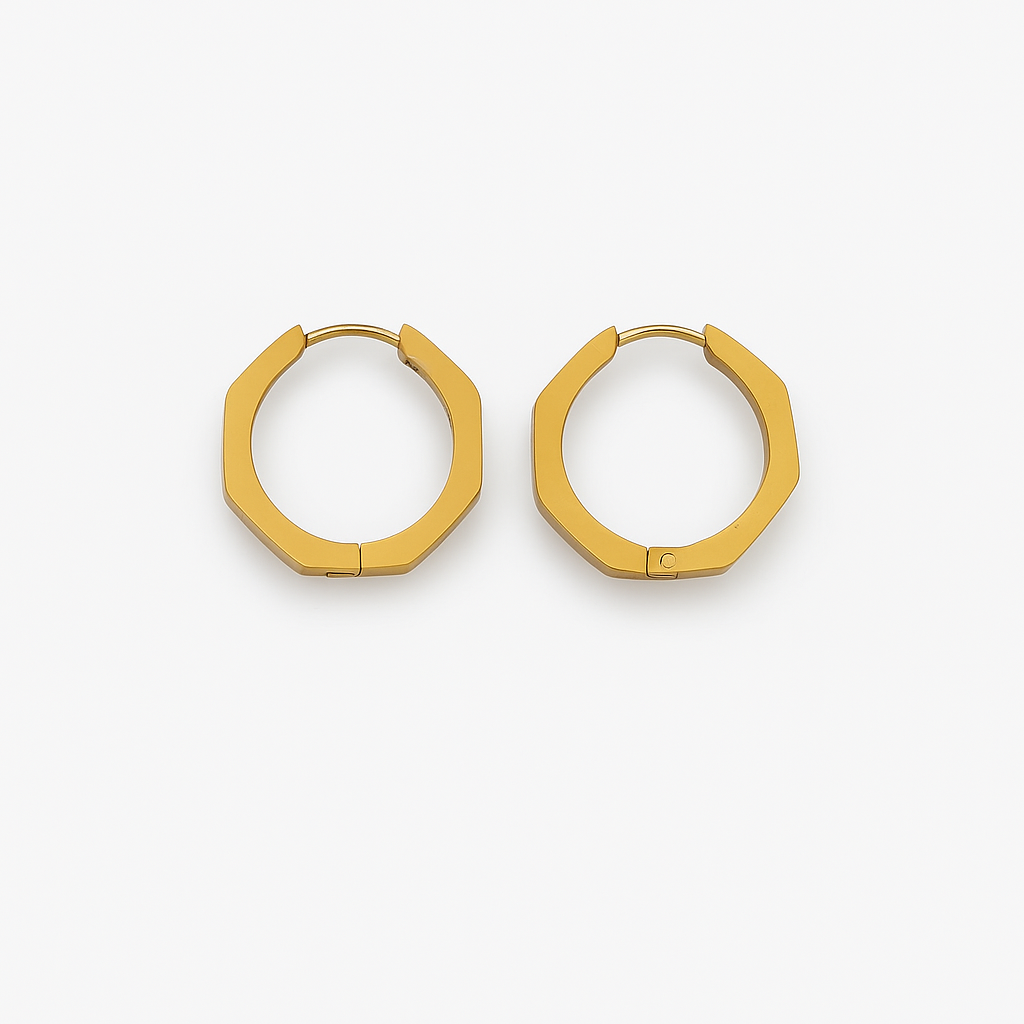 Steel earrings Chrysa - w352