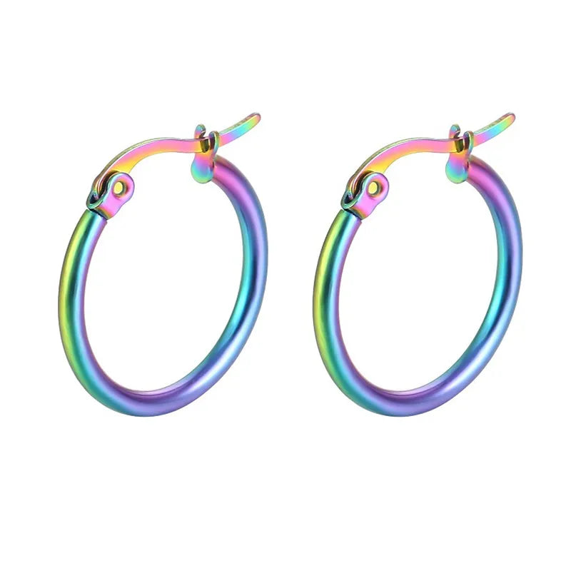 Earrings of a colorful colorful - EA313