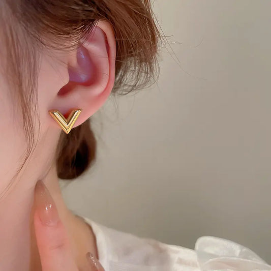 Steel earrings - w297