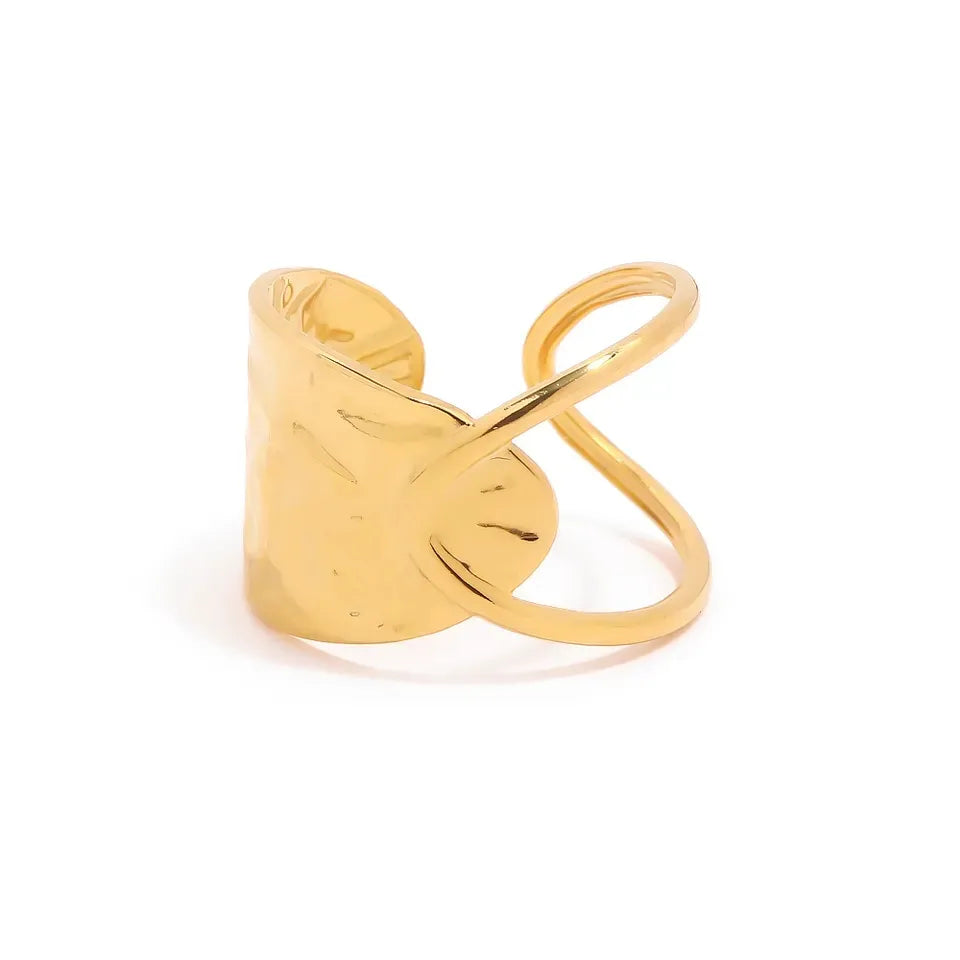 Steel ring with special shape-R214