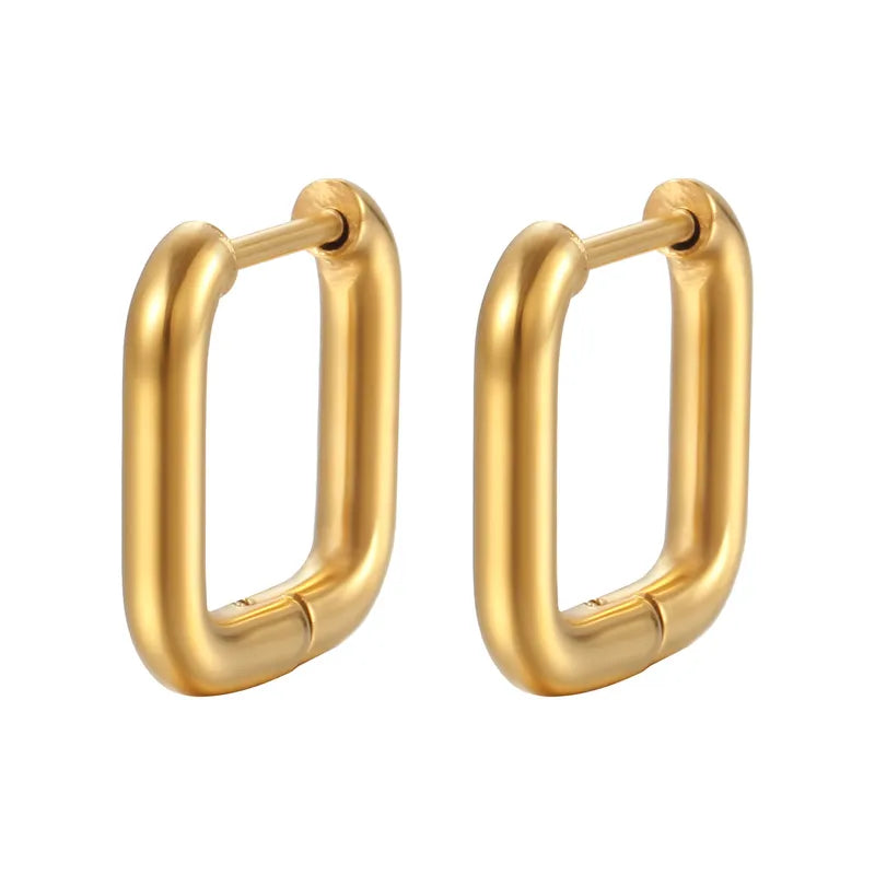 Earrings of Gold Steel -ea583