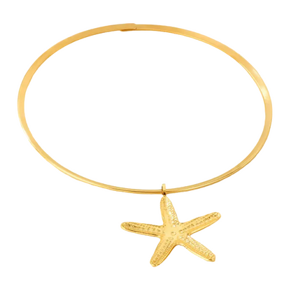 Κολιέ επιχρυσωμένο ατσάλι με αστερία - NE642