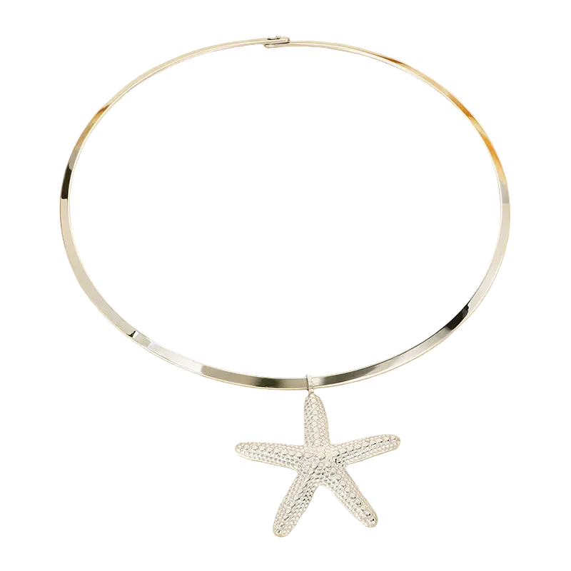 Κολιέ ατσάλι με αστερία - NE643