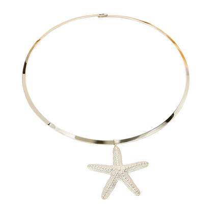 Κολιέ ατσάλι με αστερία - NE643