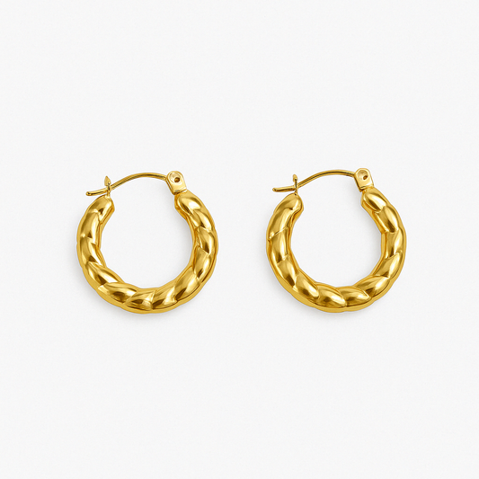 Steel earrings - w191