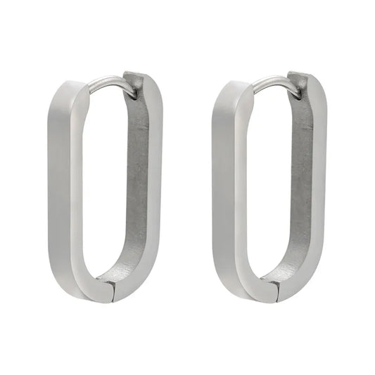 Oval-ea522 steel earrings