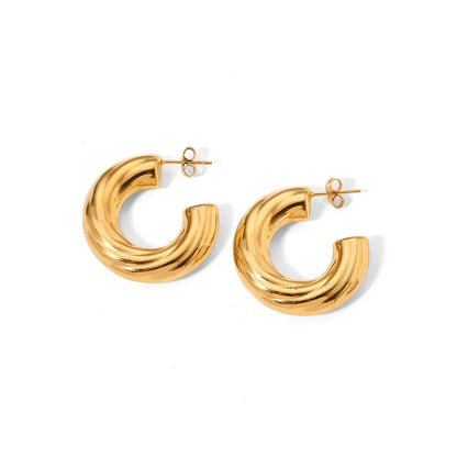 Boucles d'oreilles en acier Chrysa - W112