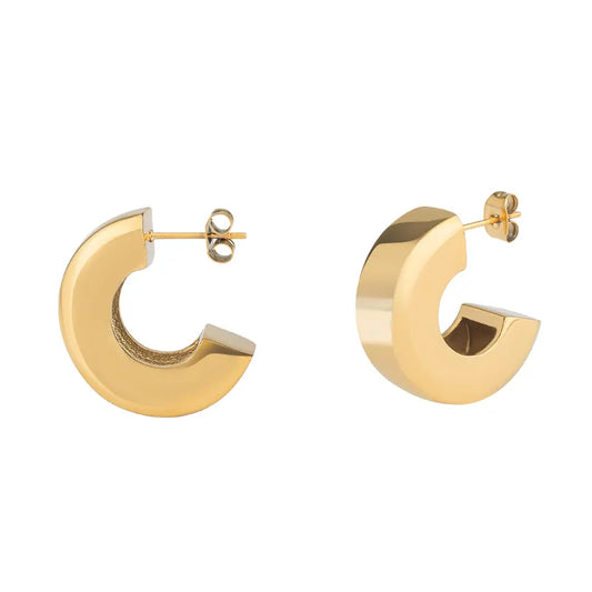 Steel earrings - w193