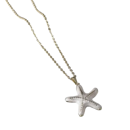 Κολιέ ατσάλινο με λευκό αστερία - NE601