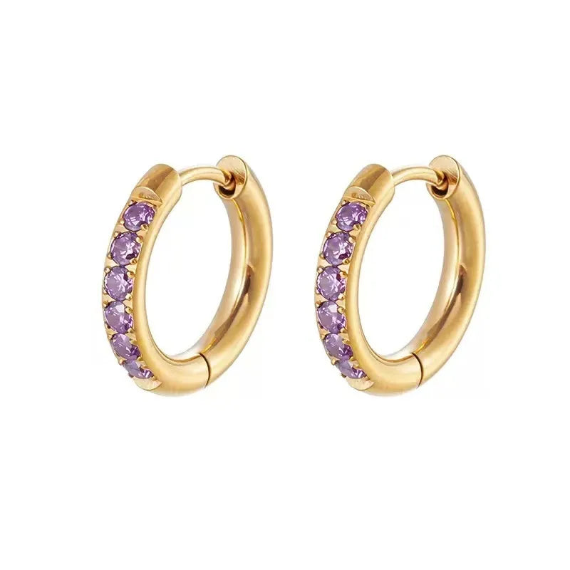 Steel hoop earrings with purple zircons- EA365