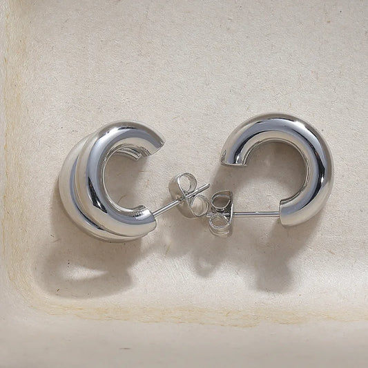Earrings of steel double small link-ea376