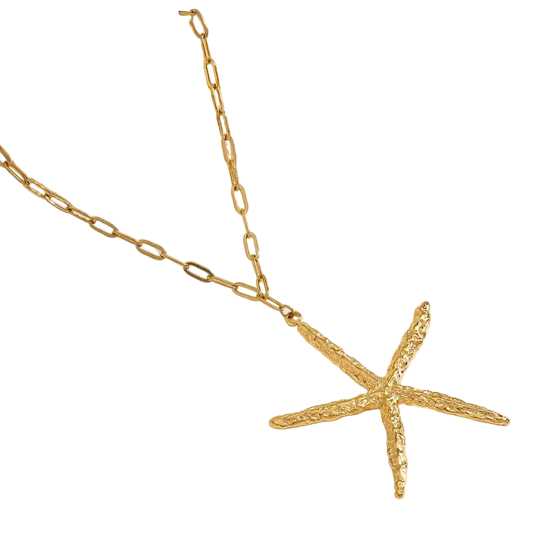 Κολιέ ατσάλινο με μεγάλο αστερία- NE618