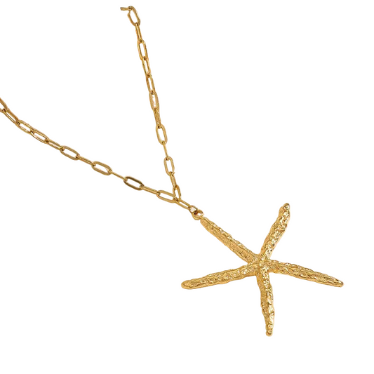 Κολιέ ατσάλινο με μεγάλο αστερία- NE618