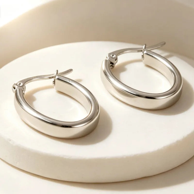 Ovale Creolen aus Stahl und Silber – EA422