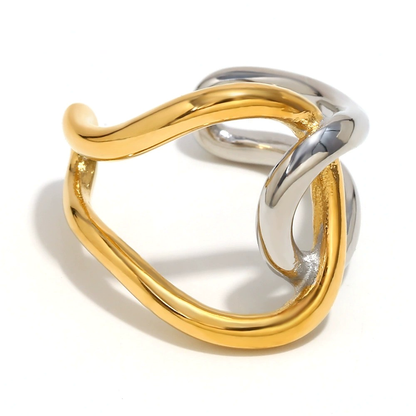 Δαχτυλίδι ατσάλι μπλεγμένα μέταλλα-R193